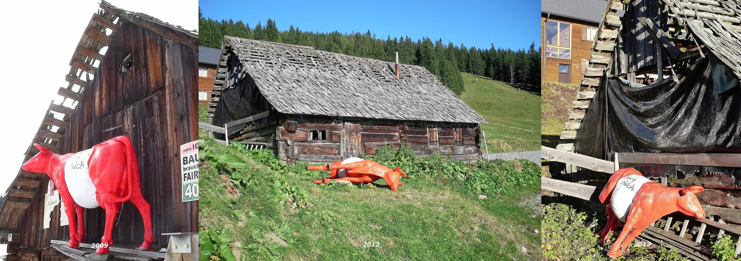 Cow on an Alpine meadow in the mountain landscape of Lachtal